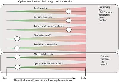 Machine Learning and Deep Learning Applications in Metagenomic Taxonomy and Functional Annotation